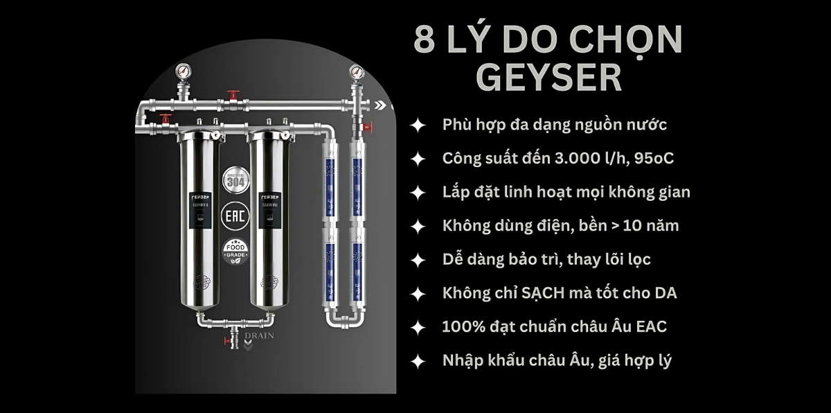 Chăm sóc toàn diện cùng lọc tổng Geyser Ecotar 2F4A	