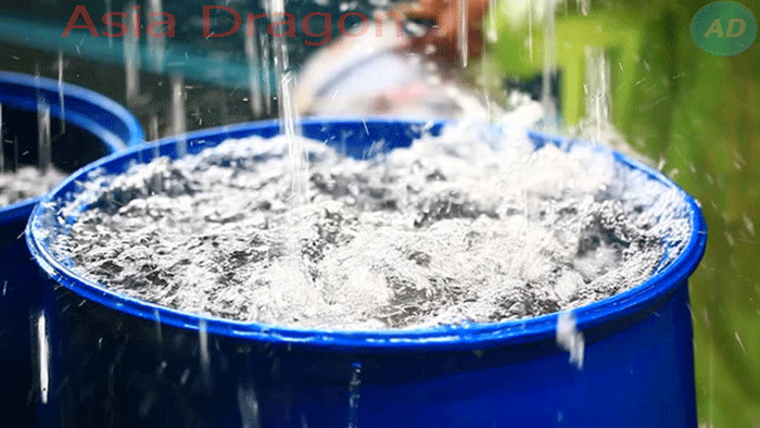 Người dân miền Tây thường sử dụng nước mưa uống trực tiếp 