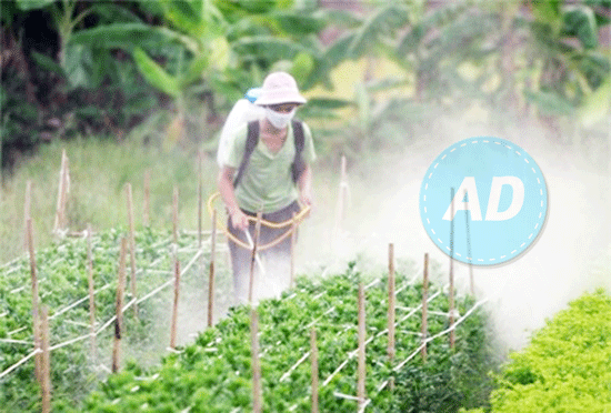 Nguy hại từ nguồn nước sinh hoạt nhiễm hóa chất 
