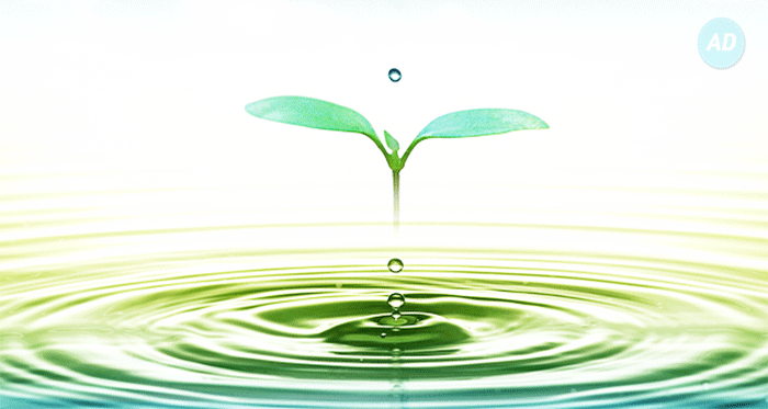 Nước uống đóng một vai trò rất quan trọng đối với cơ thể 